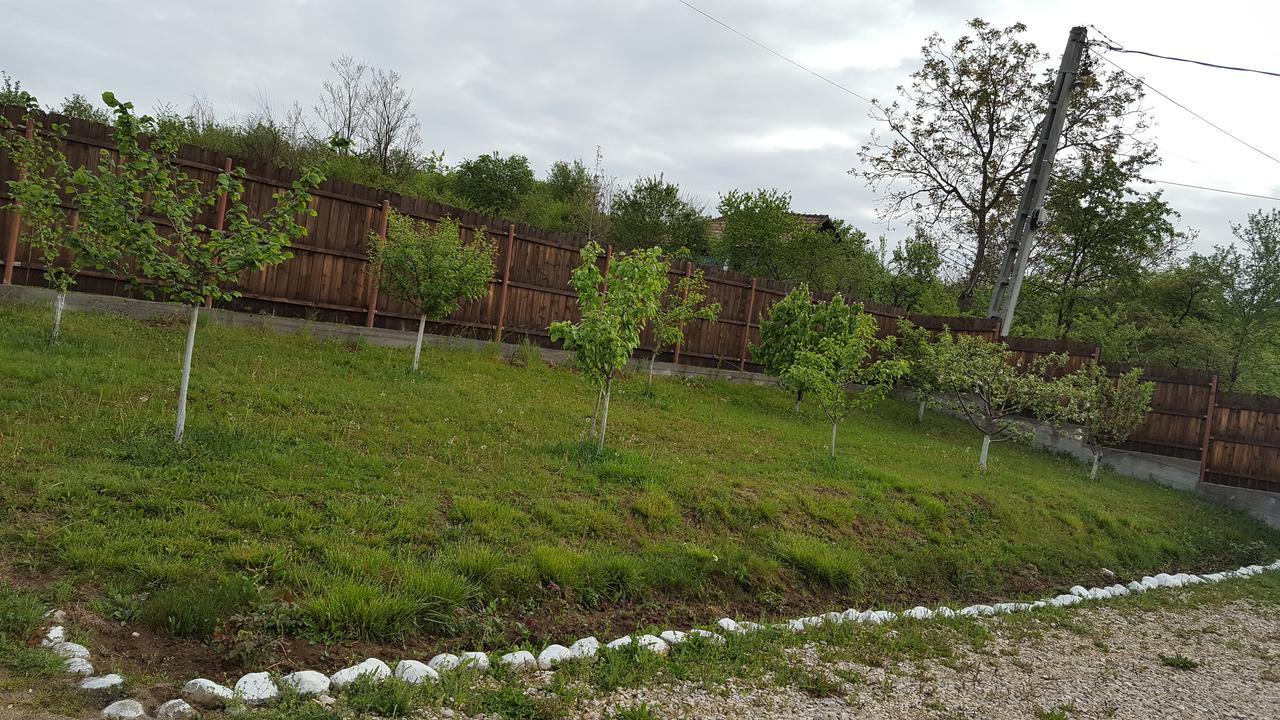 Călimăneşti Casa De Vacanta Laurentiu מראה חיצוני תמונה